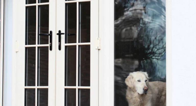 ec2c1d bc118ae12c564c9db1d8eef7a3cc409b mv2